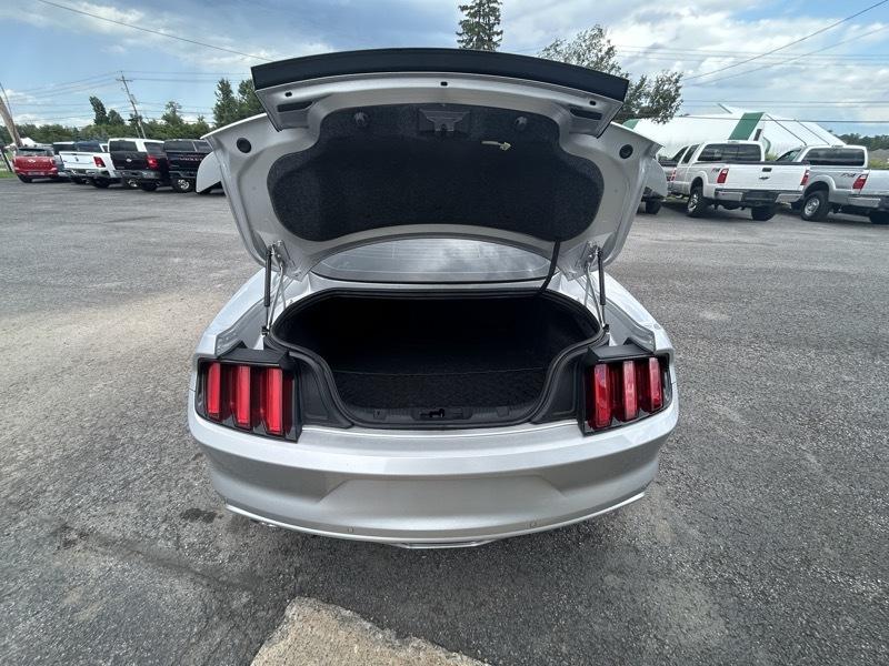Ford Mustang GT Coupe 2017