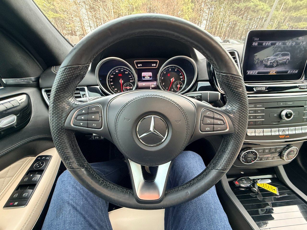 Mercedes-Benz GLS-Class GLS550 4MATIC 2019