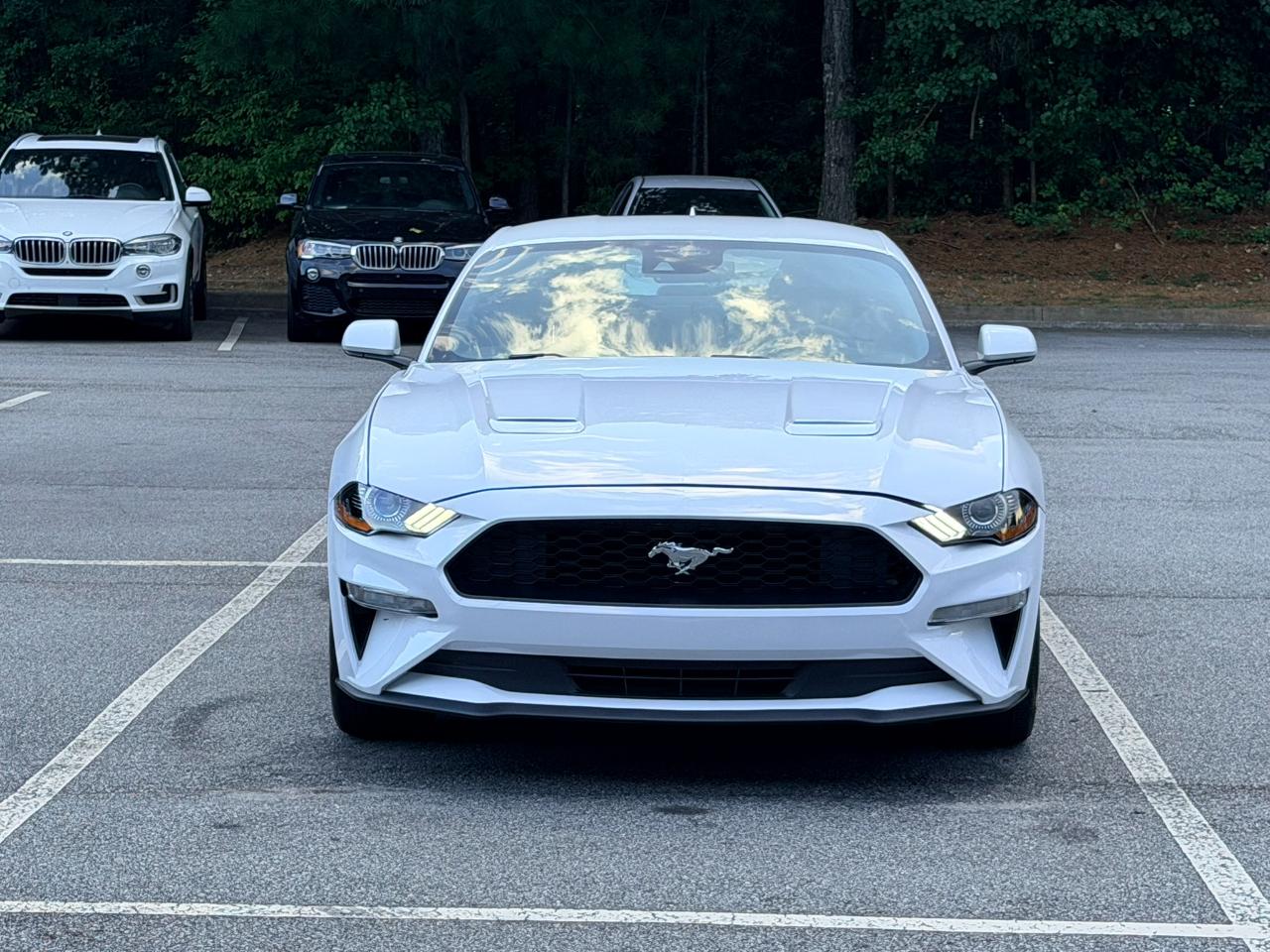 Ford Mustang EcoBoost Coupe 2022