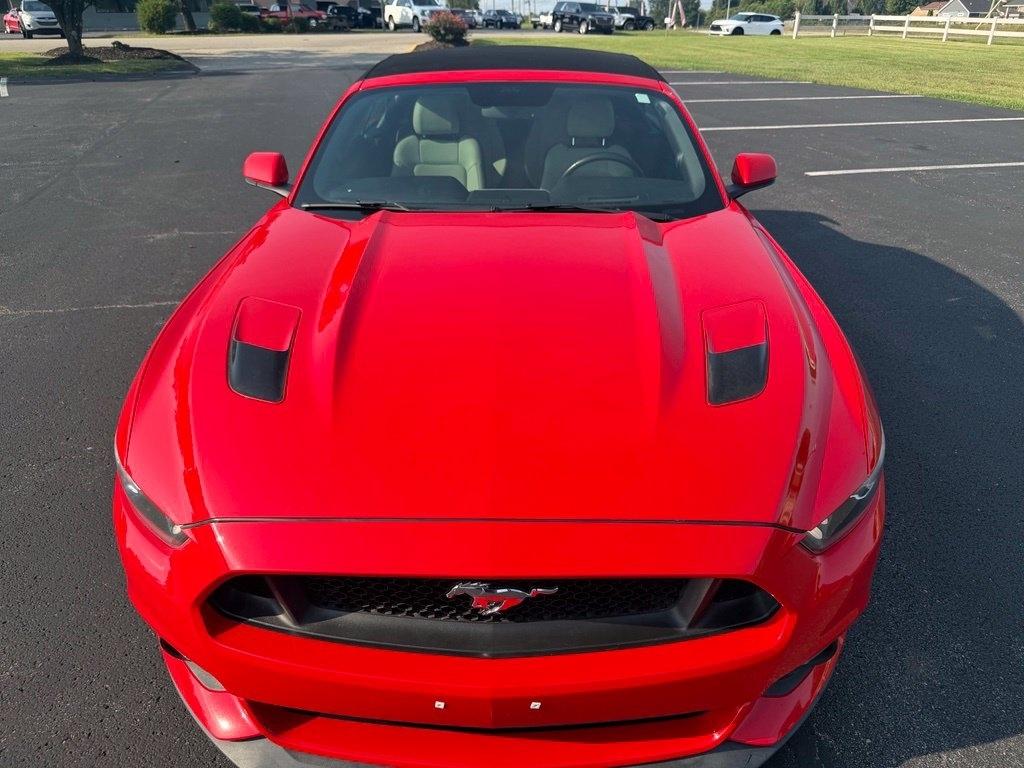 Ford Mustang photo 14