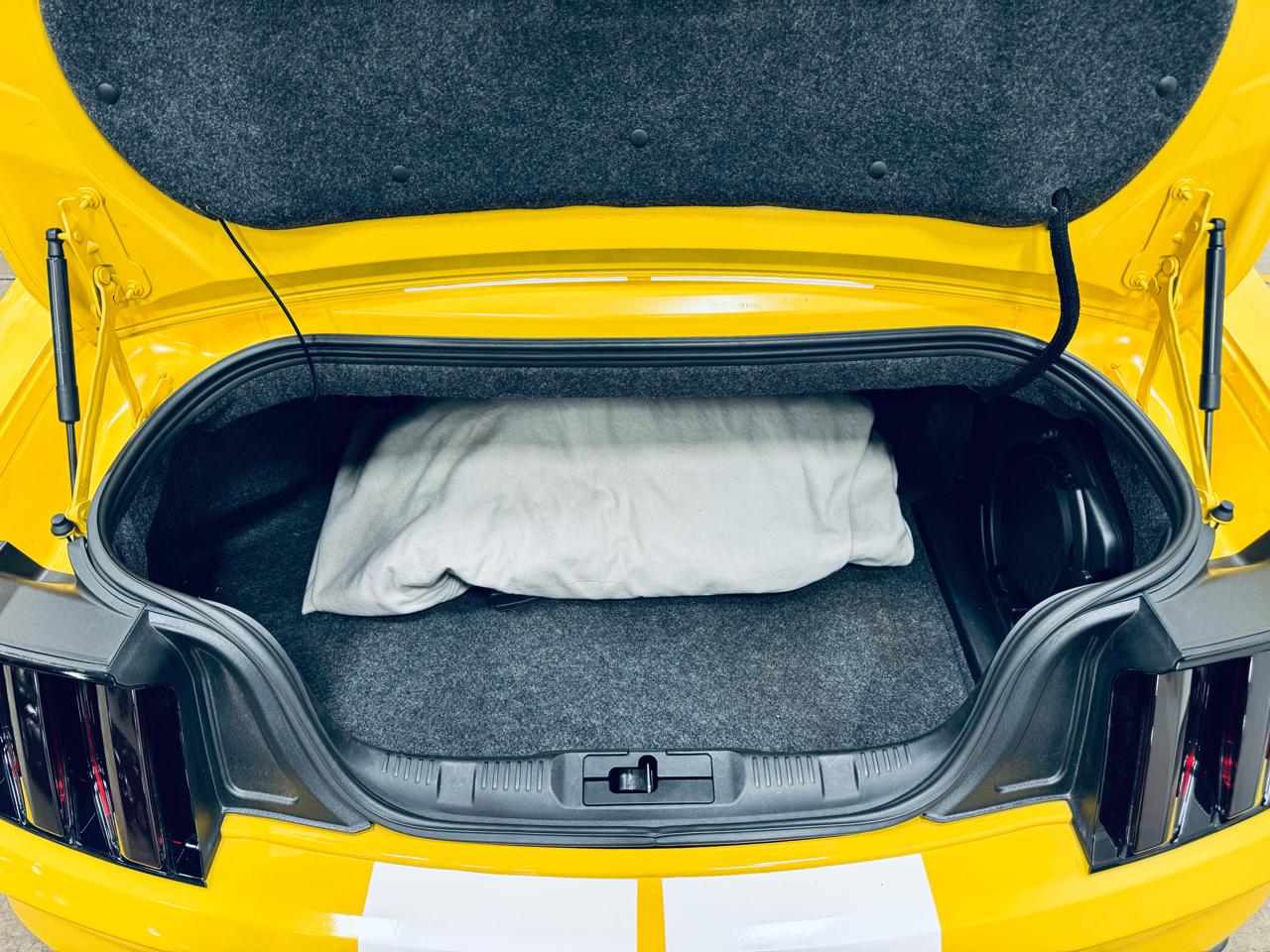 Ford Mustang 2dr Conv EcoBoost Premium 2015