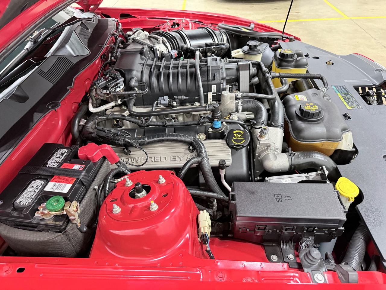 Ford Mustang 2dr Cpe Shelby GT500 2010