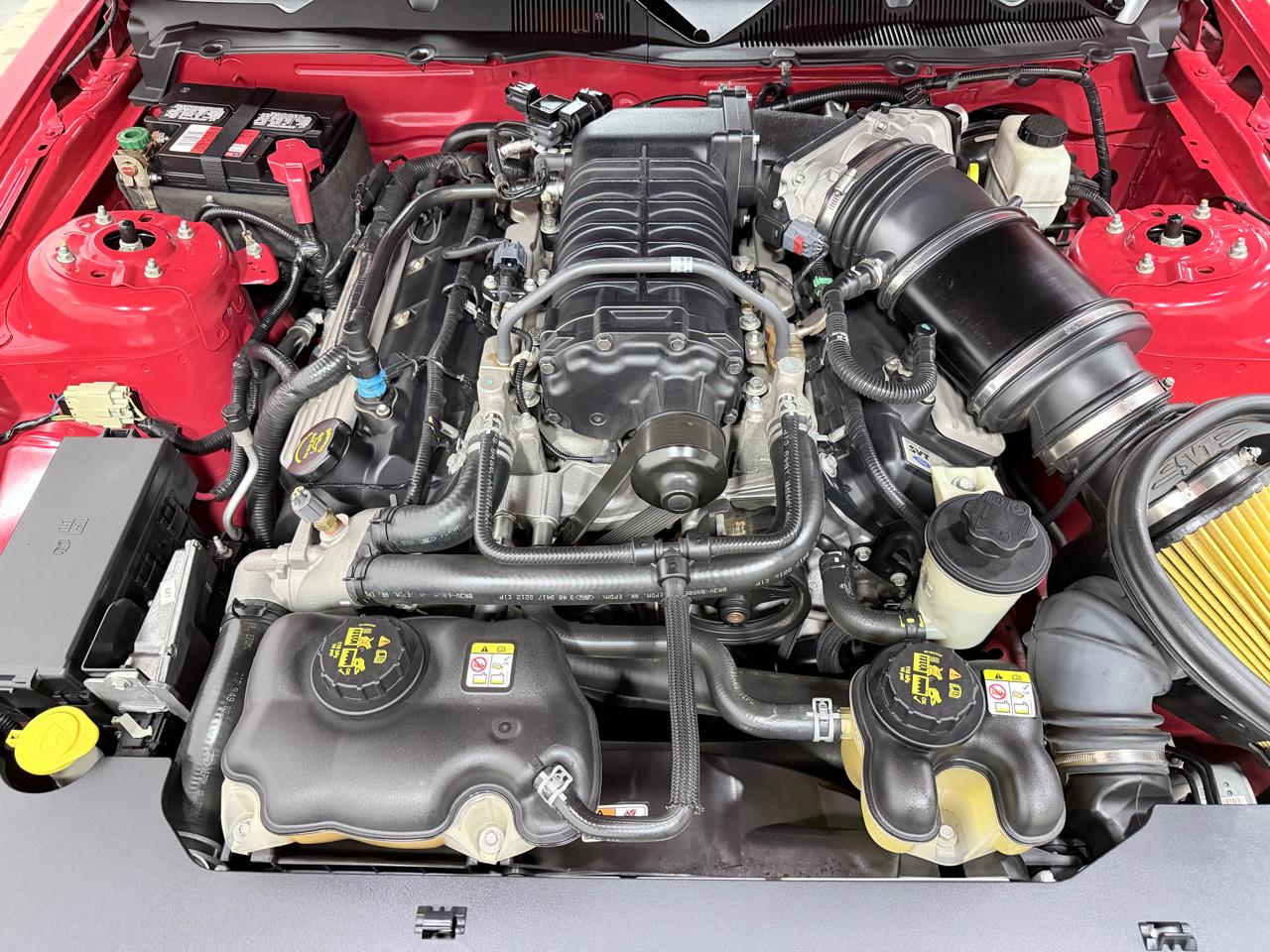 Ford Mustang 2dr Cpe Shelby GT500 2010
