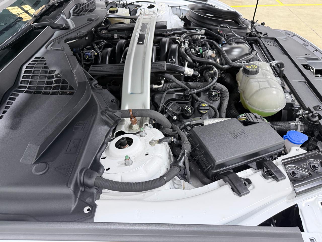 Ford Mustang  2023