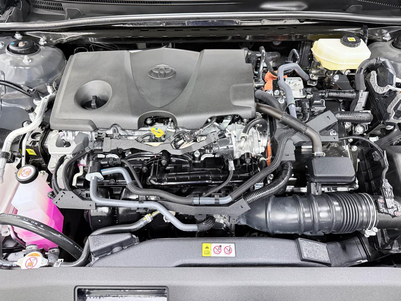 Toyota Camry XLE (Natl) 2025