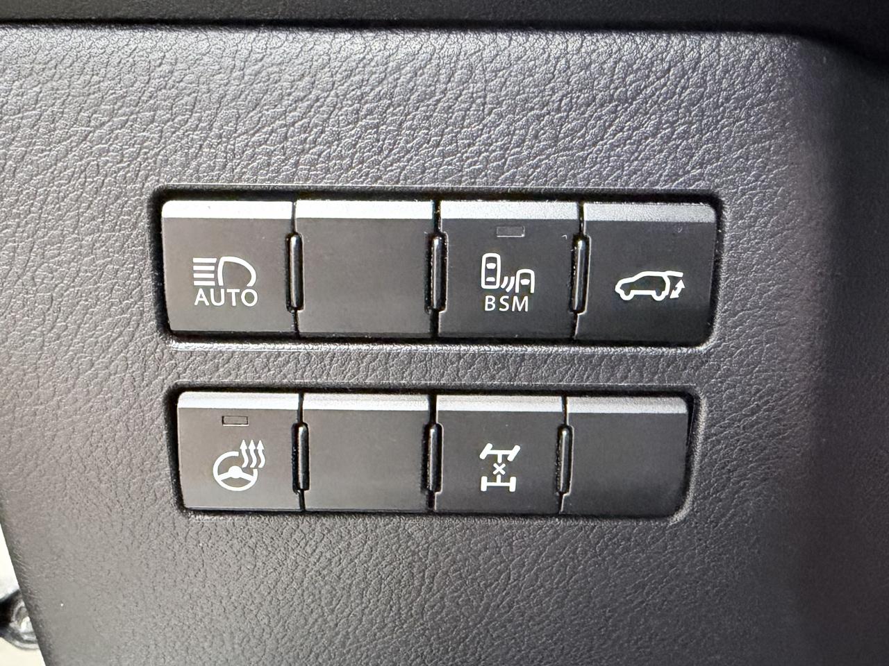 Lexus NX NX 300 AWD 2018