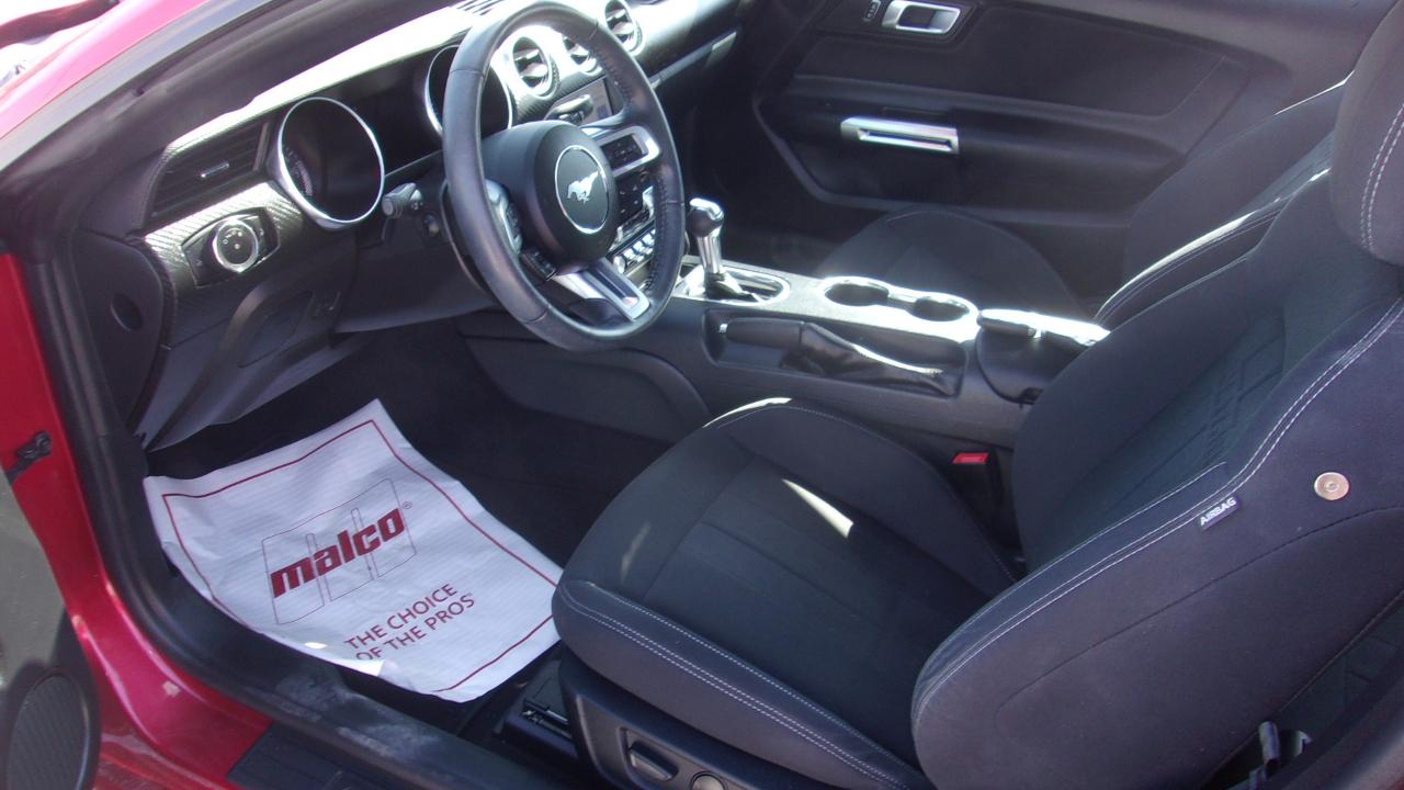 Ford Mustang EcoBoost Coupe 2022