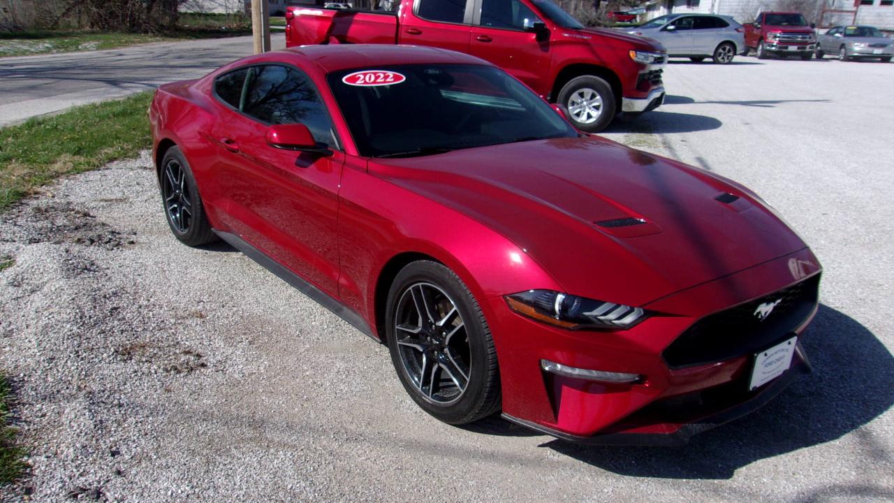 Ford Mustang EcoBoost Coupe 2022