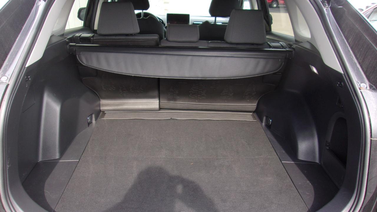 Toyota RAV4 Woodland 2024