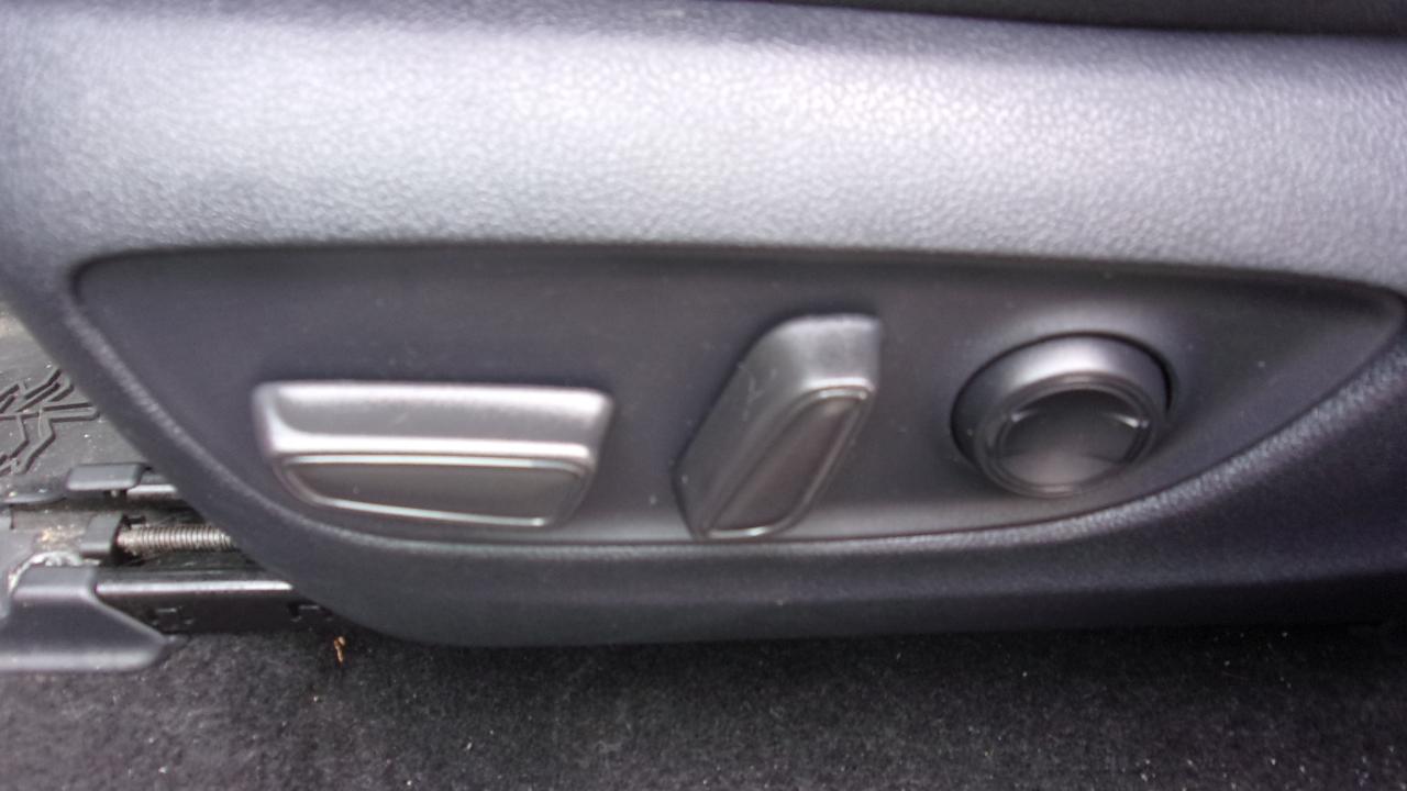 Toyota RAV4 Woodland 2024
