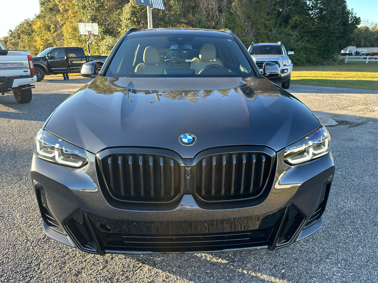 BMW X3 sDrive30i Sports Activity Vehicle 2024