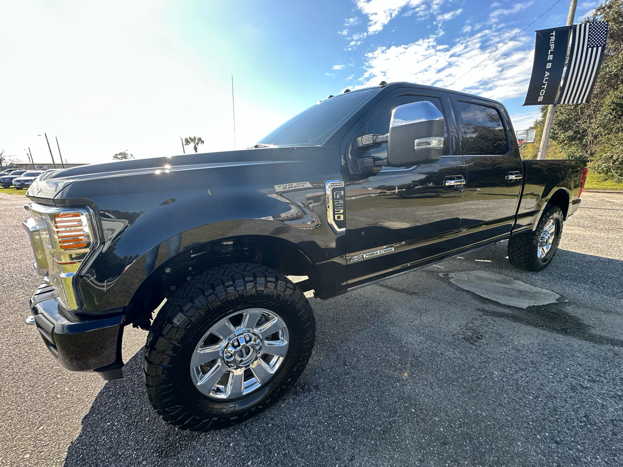 Ford Super Duty F-250 SRW Platinum 4WD Crew Cab 6.75' Box 2020