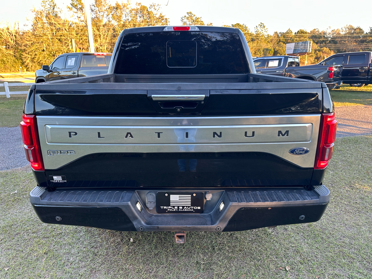 Ford F-150 4WD SuperCrew 145" Platinum 2016