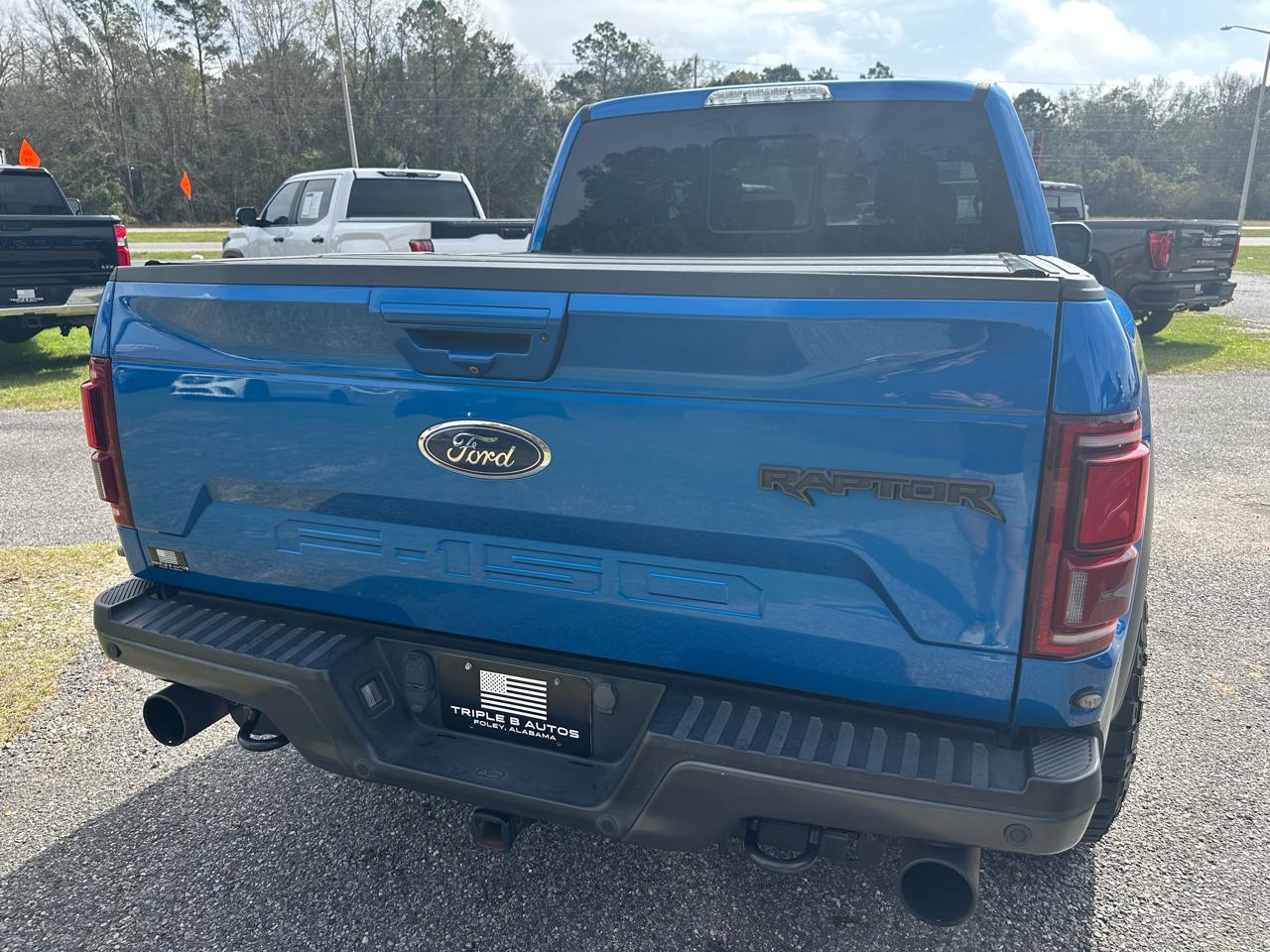 Ford F-150 Raptor 4WD SuperCrew 5.5' Box 2019