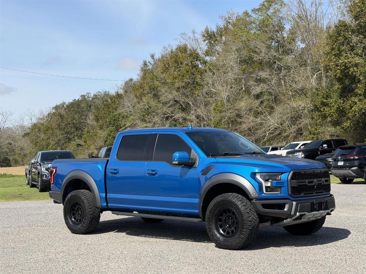 Ford F-150 Raptor 4WD SuperCrew 5.5' Box 2019