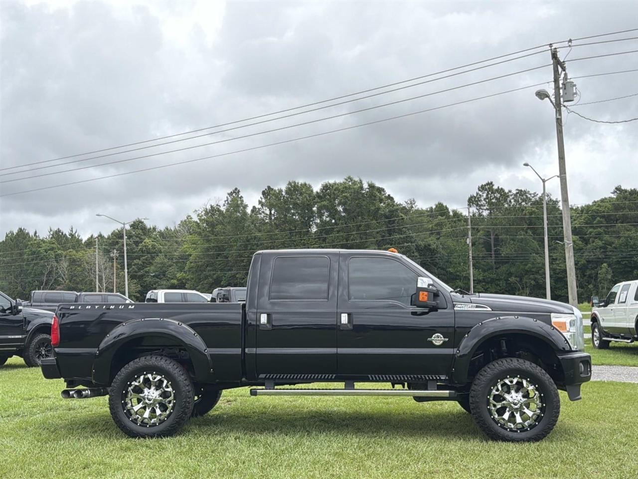 Ford Super Duty F-250 SRW 4WD Crew Cab 172" Platinum 2016