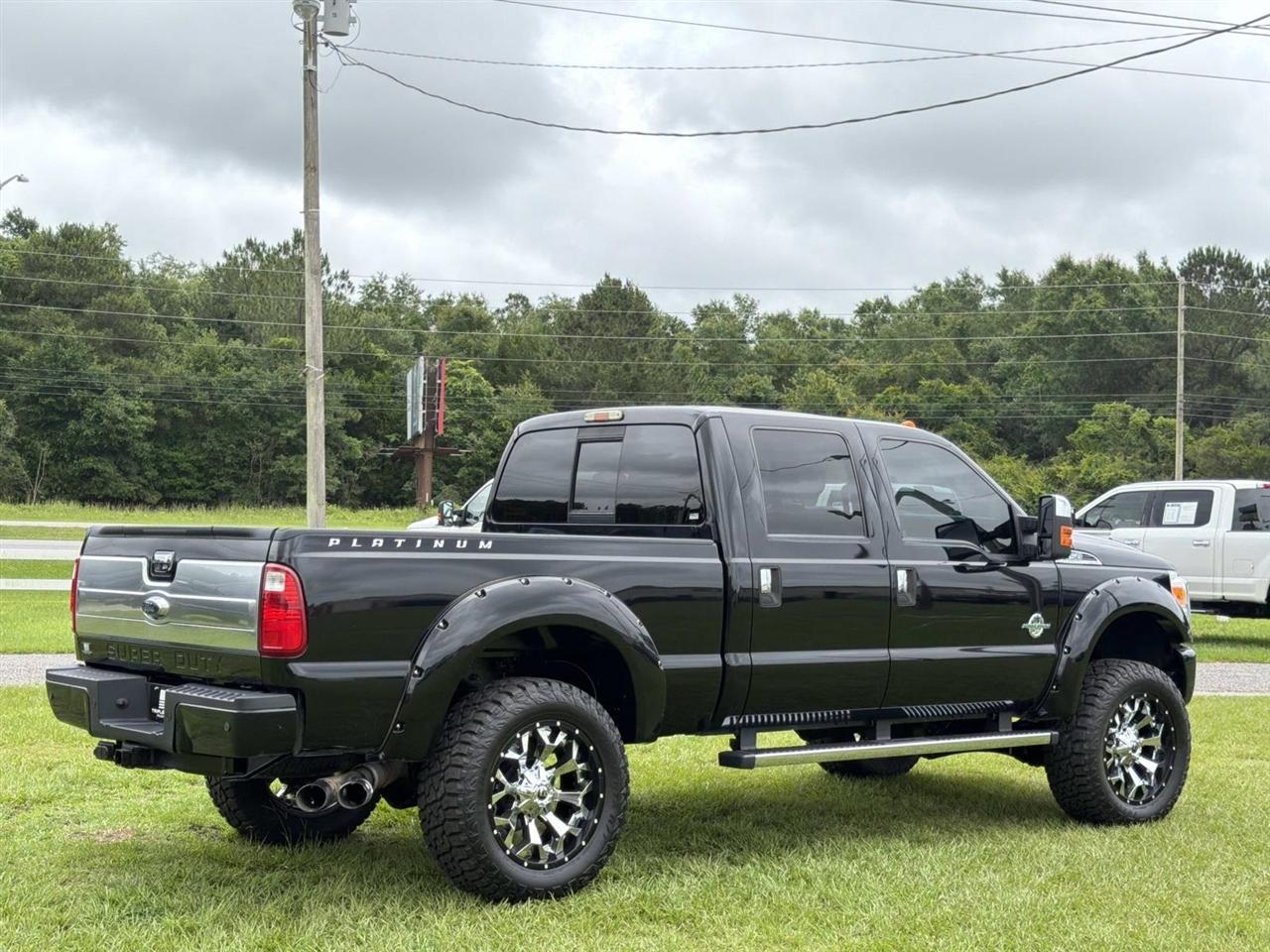Ford Super Duty F-250 SRW 4WD Crew Cab 172" Platinum 2016