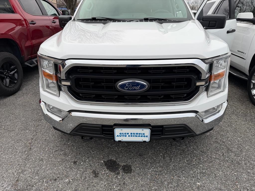 Ford F-150 XLT 4WD SuperCrew 6.5' Box 2021