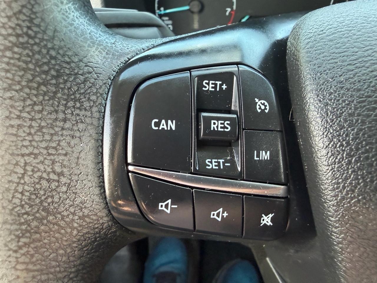 Ford Transit Cargo Van T-250 130" Low Rf 9070 GVWR RWD 2021