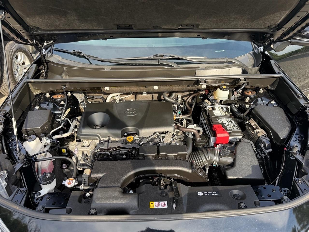 Toyota RAV4 XLE AWD (Natl) 2020