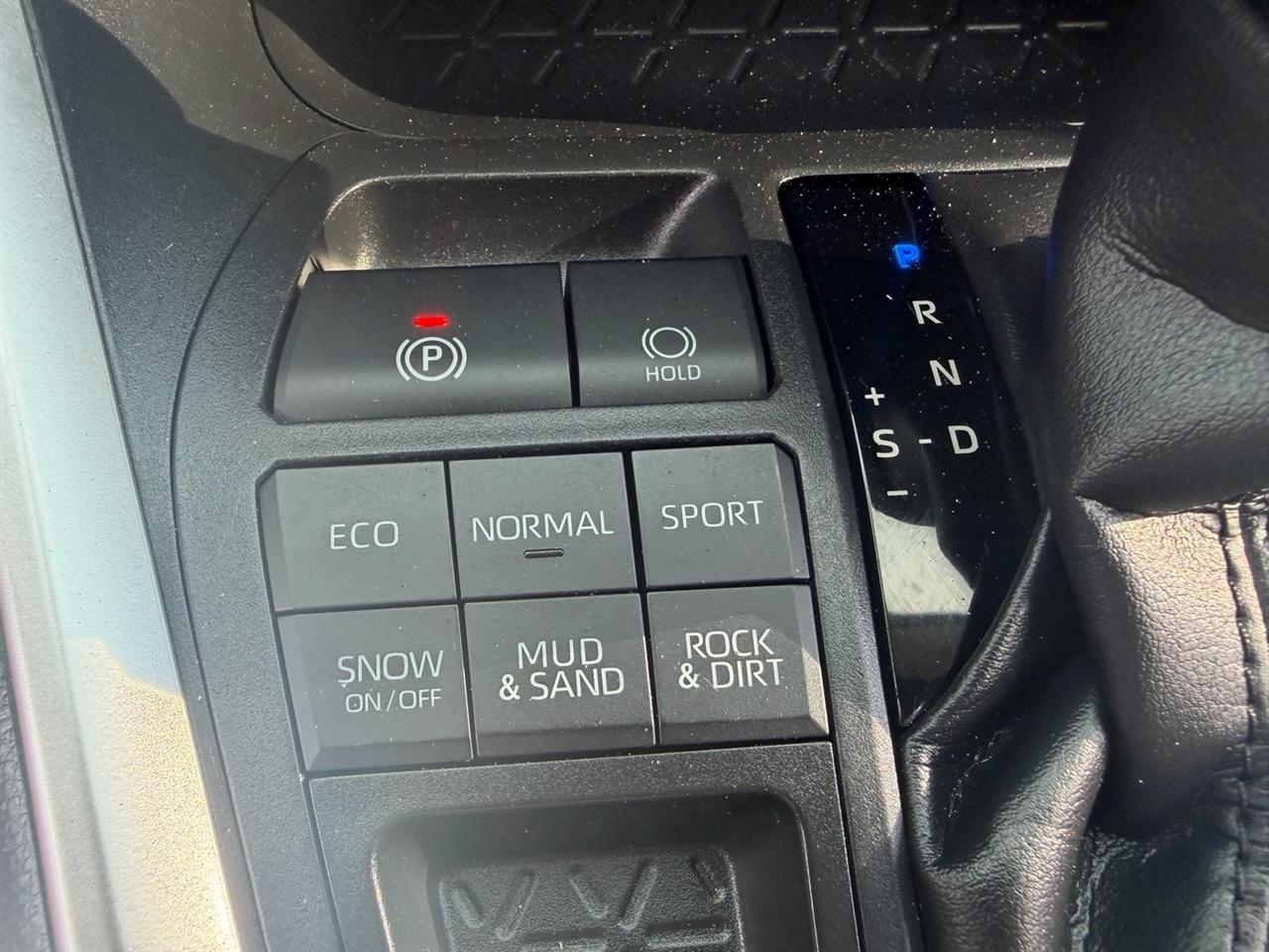 Toyota RAV4 XLE AWD (Natl) 2020
