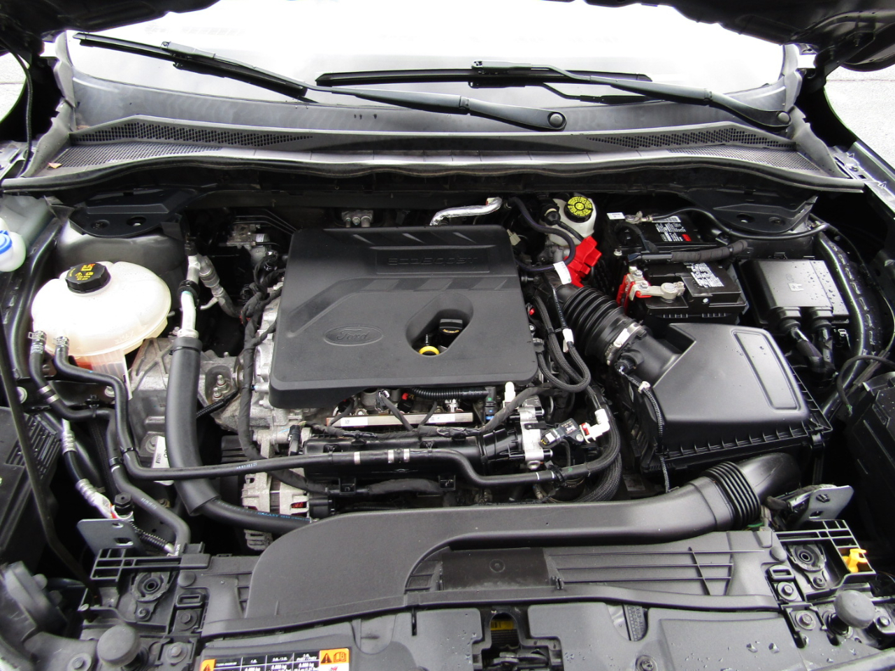 Ford Escape SE 2020 Ford Escape SE 2020