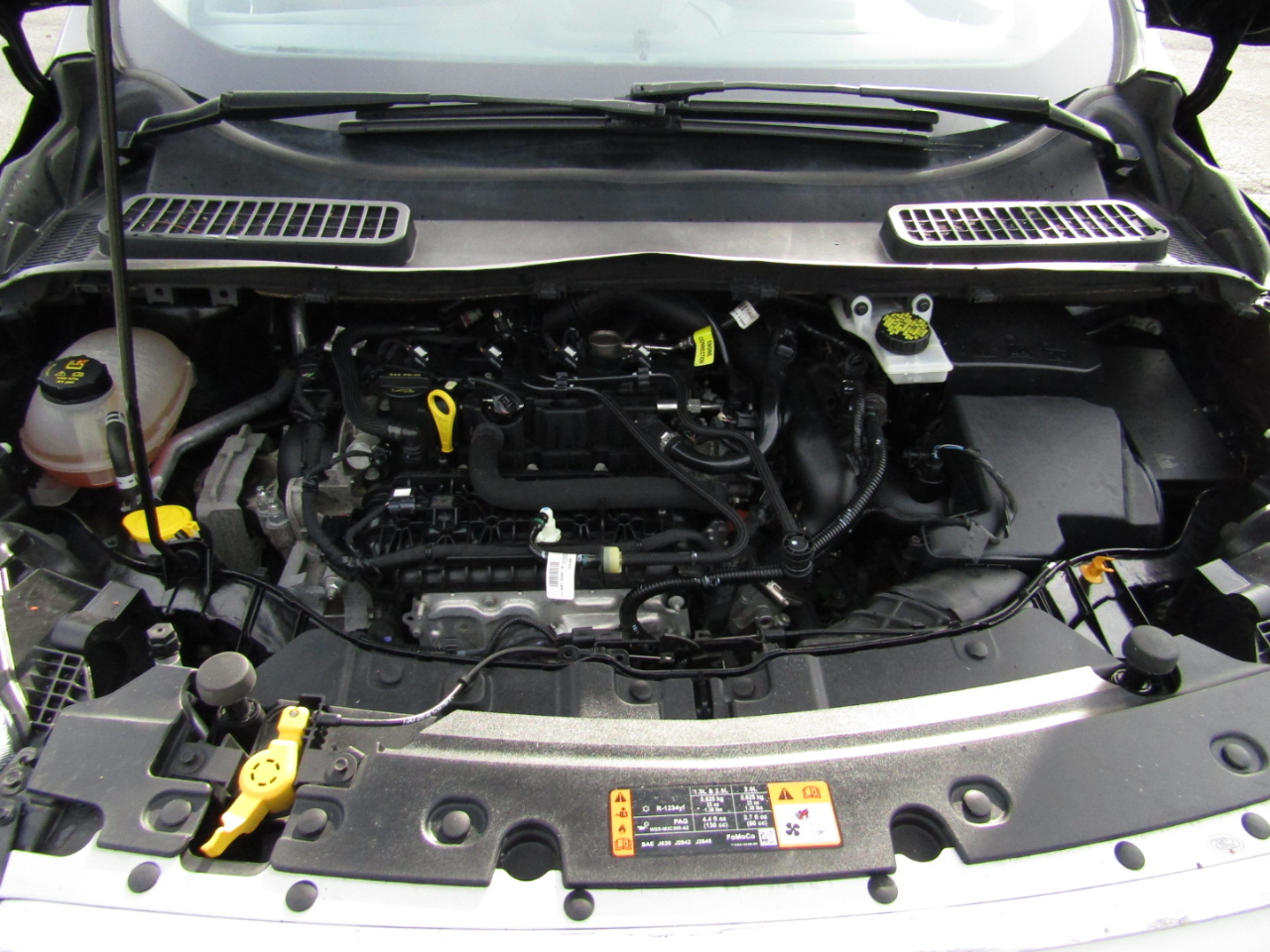 Ford Escape SE 4WD 2019