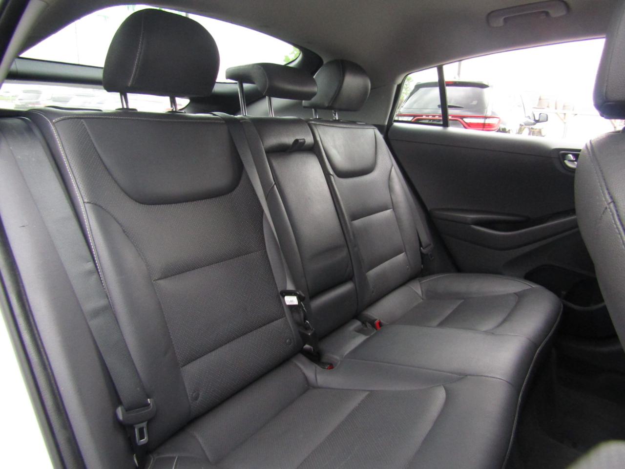 Hyundai Ioniq Electric Limited 2017