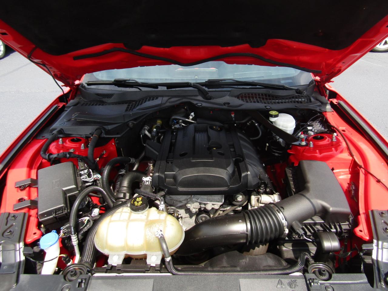 Ford Mustang EcoBoost Premium Convertible 2022