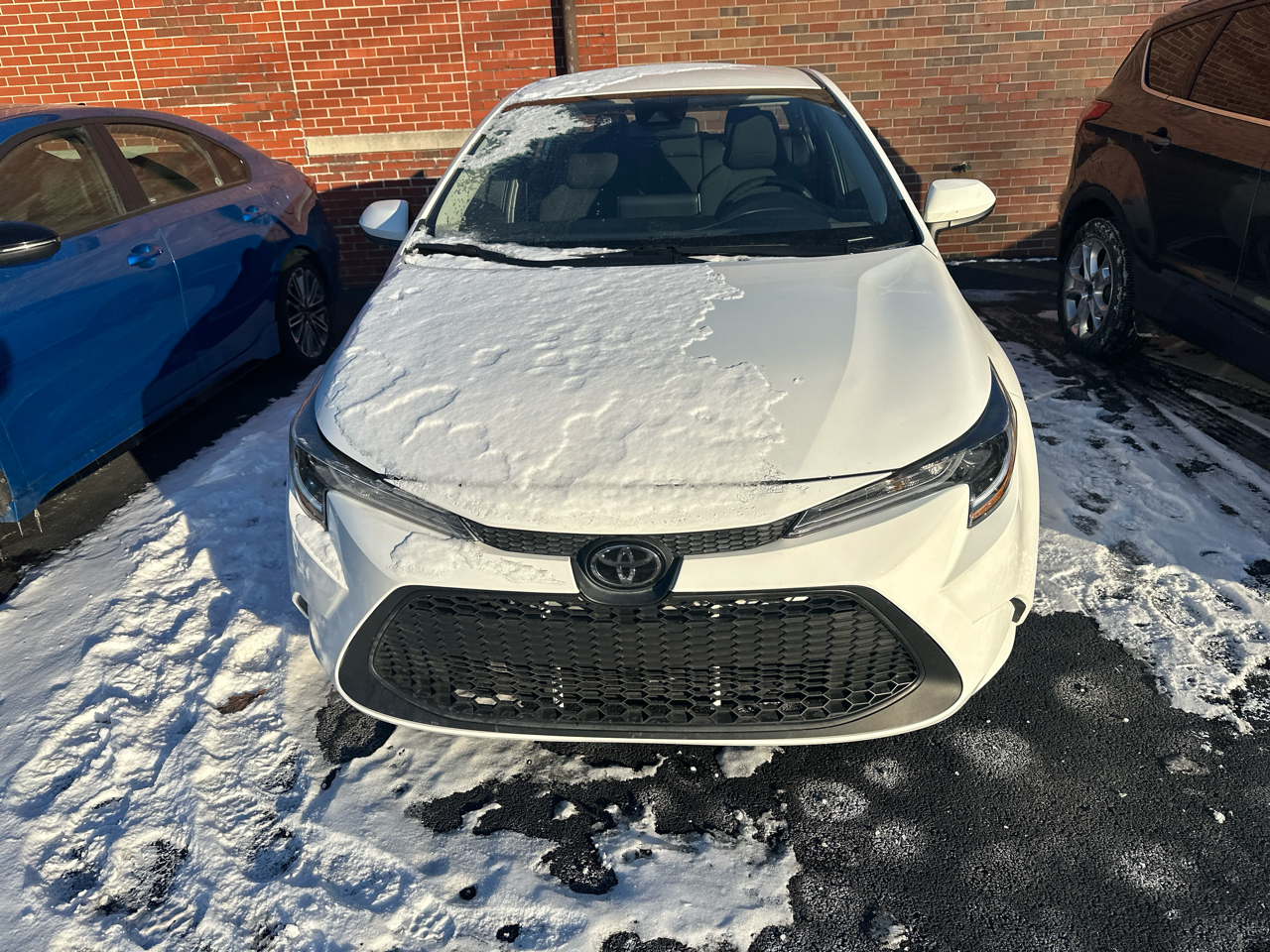 Toyota Corolla LE 2021