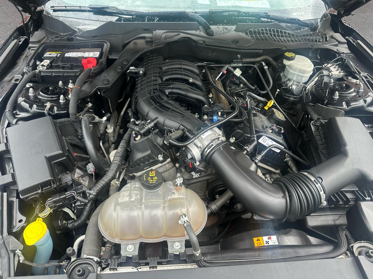 Ford Mustang 2dr Fastback V6 2016