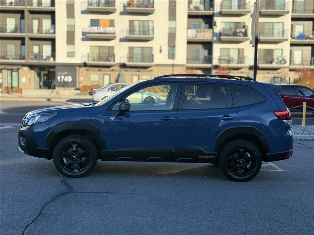 Subaru Forester Wilderness AWD 2024