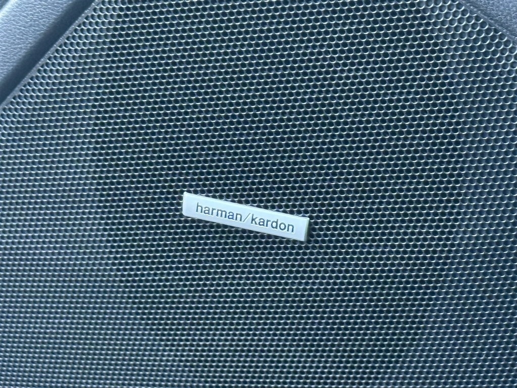 Subaru Forester Wilderness AWD 2024