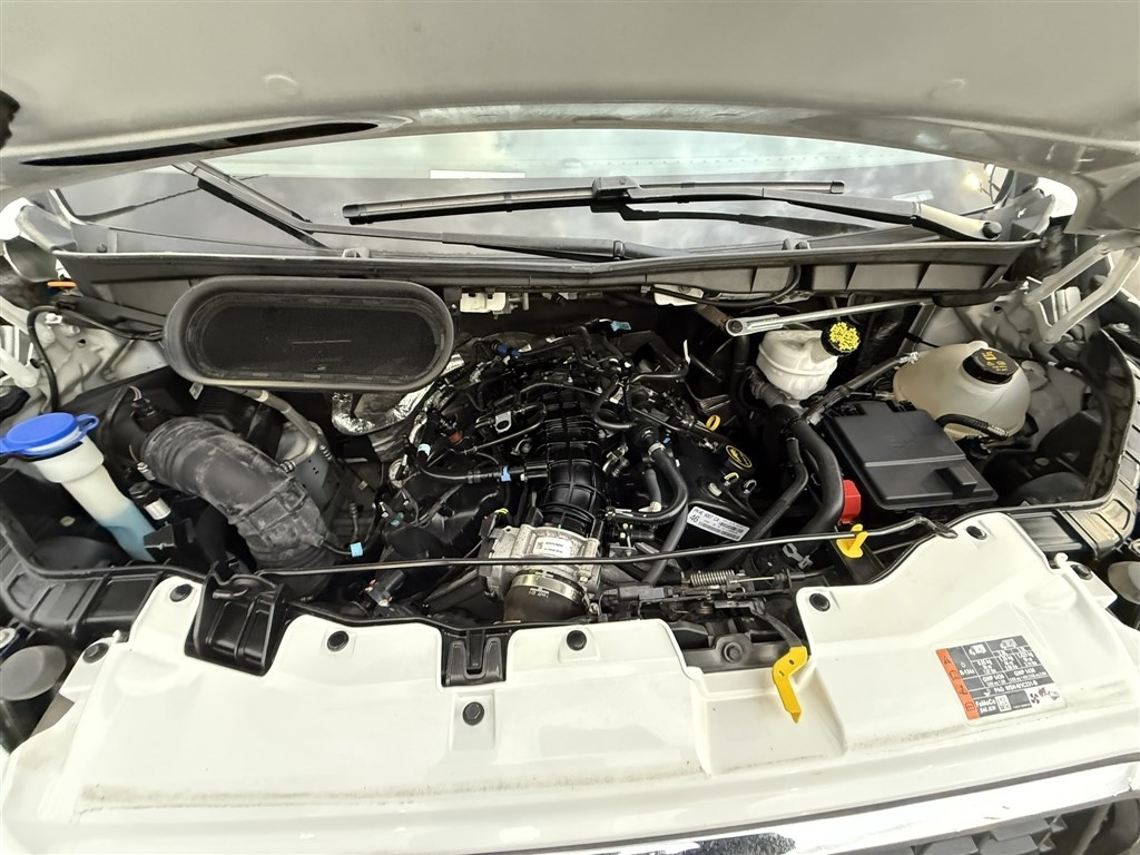 Ford Transit Passenger Wagon T-350 148" Low Roof XL RWD 2023