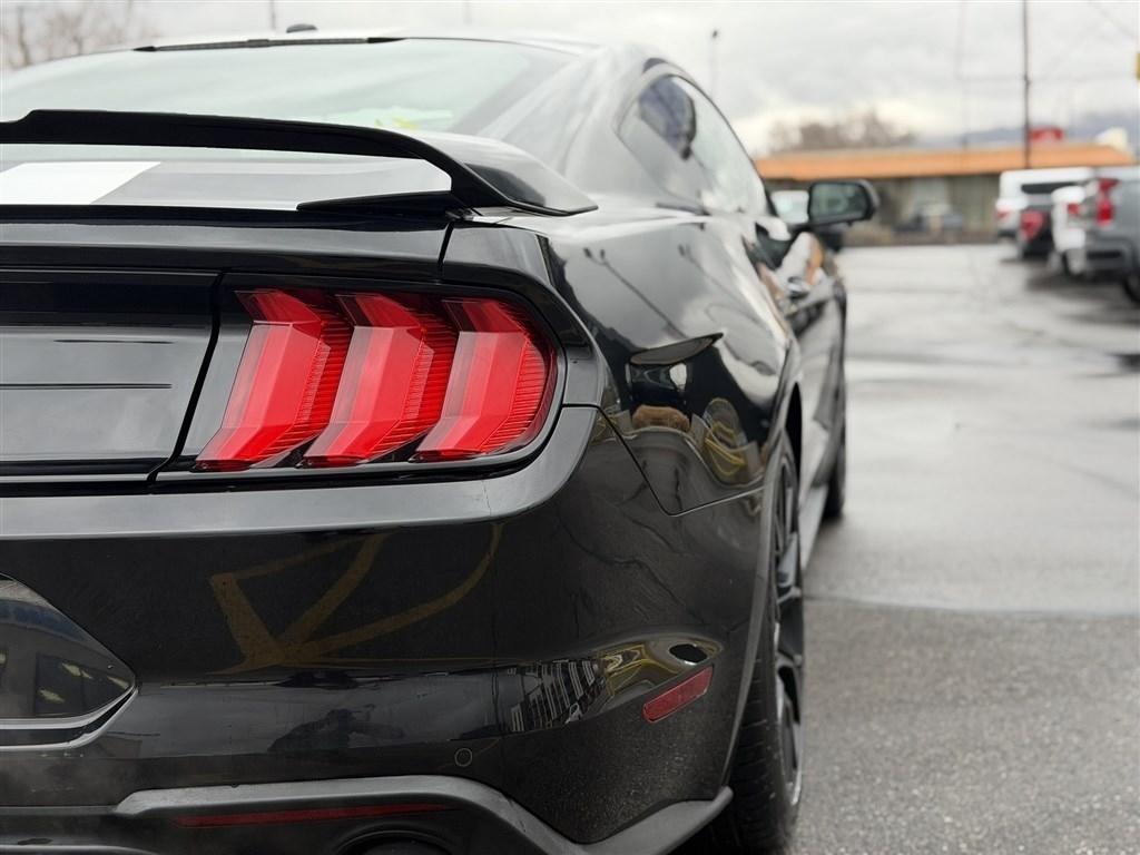 Ford Mustang EcoBoost Fastback 2018