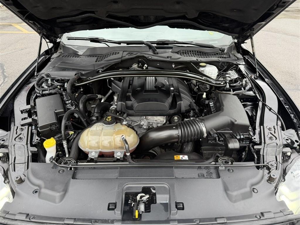 Ford Mustang EcoBoost Fastback 2018