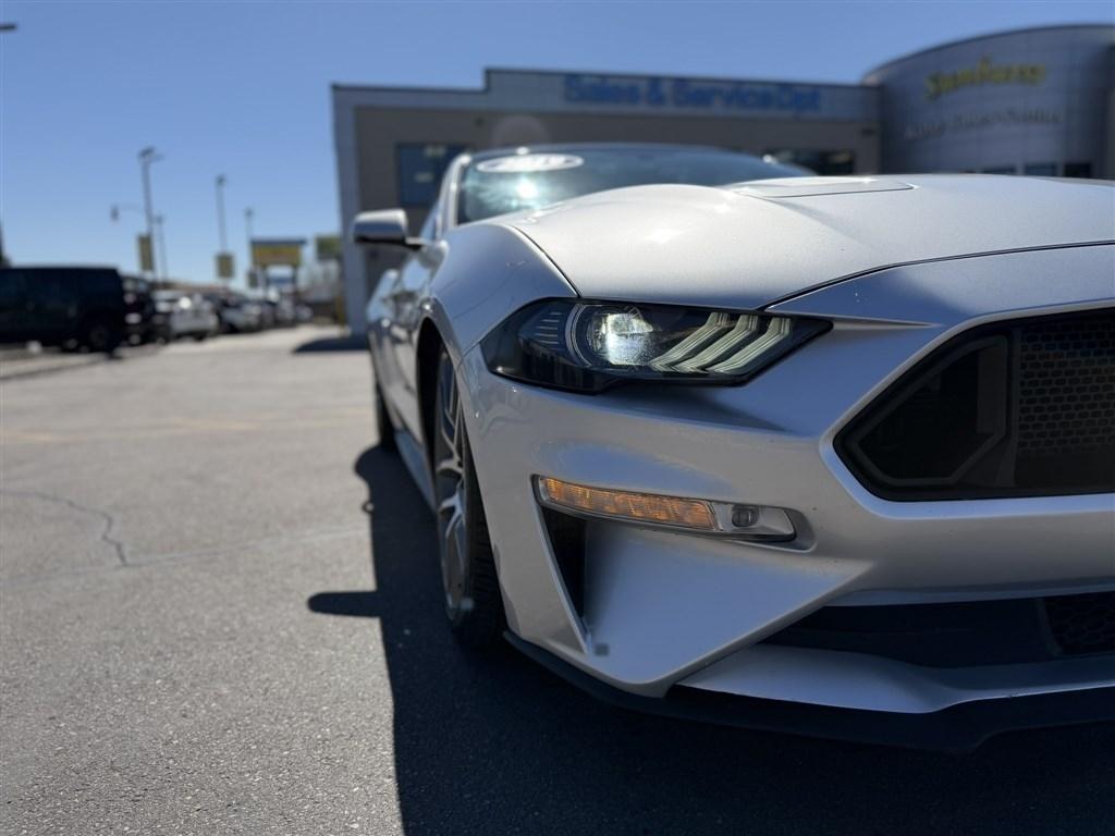 Ford Mustang GT Fastback 2019