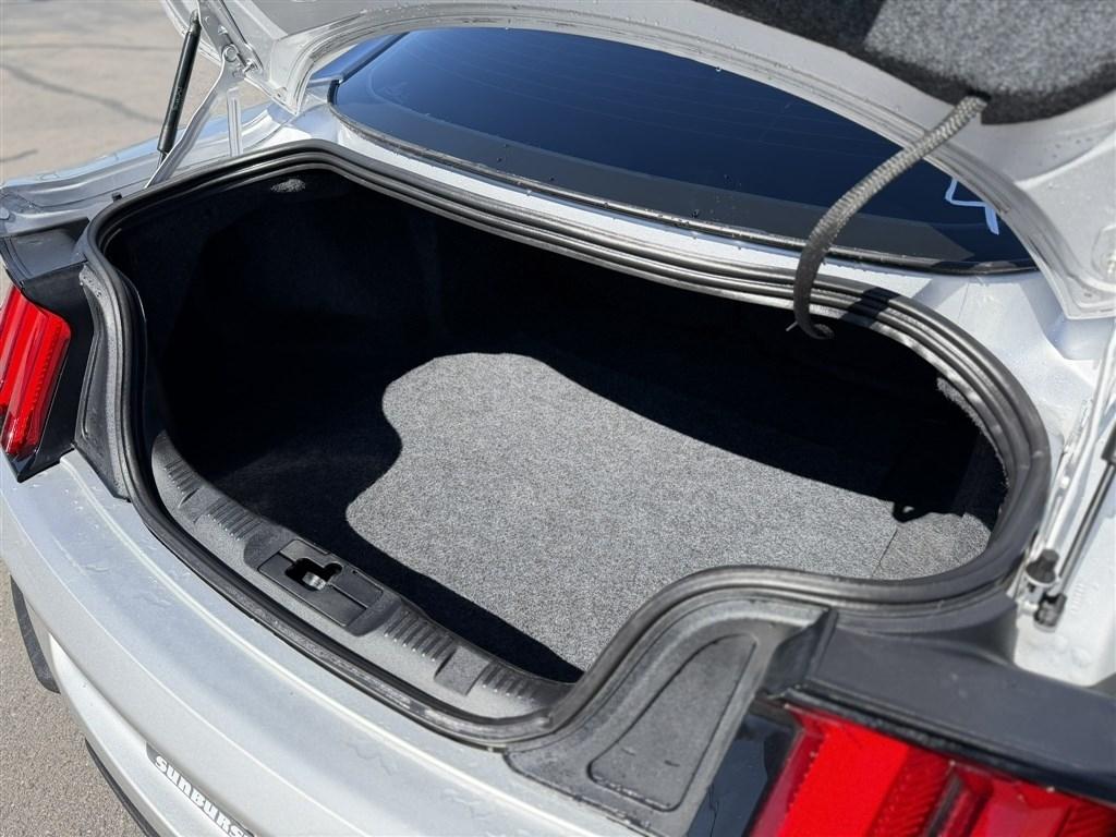 Ford Mustang GT Fastback 2019