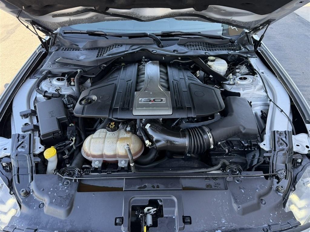 Ford Mustang GT Fastback 2019