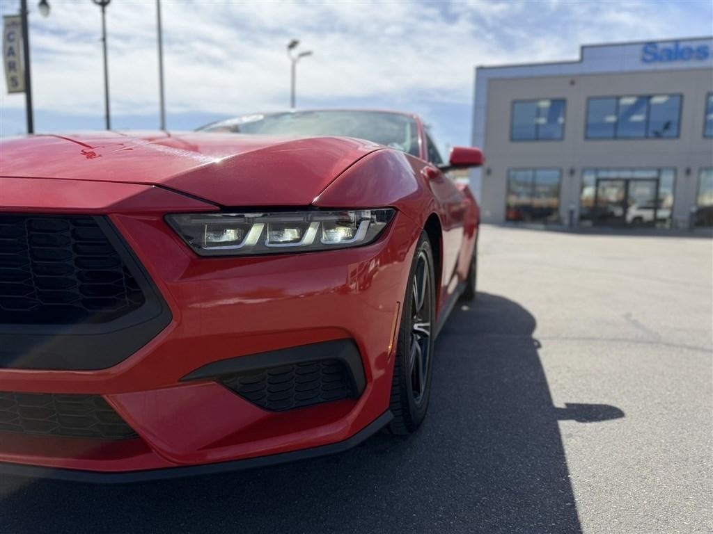 Ford Mustang EcoBoost Fastback 2024