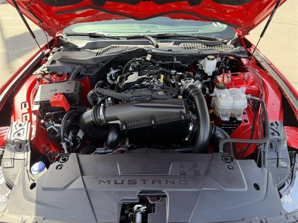 Ford Mustang EcoBoost Fastback 2024