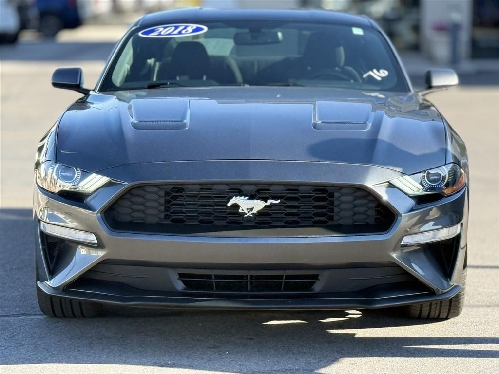 Ford Mustang EcoBoost Fastback 2018