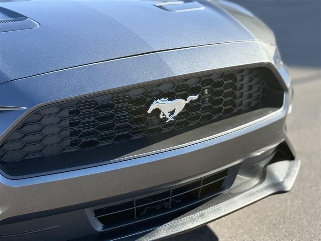 Ford Mustang EcoBoost Fastback 2018