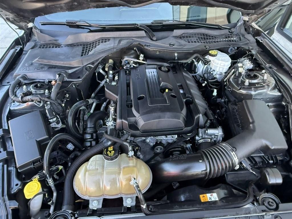 Ford Mustang EcoBoost Fastback 2018