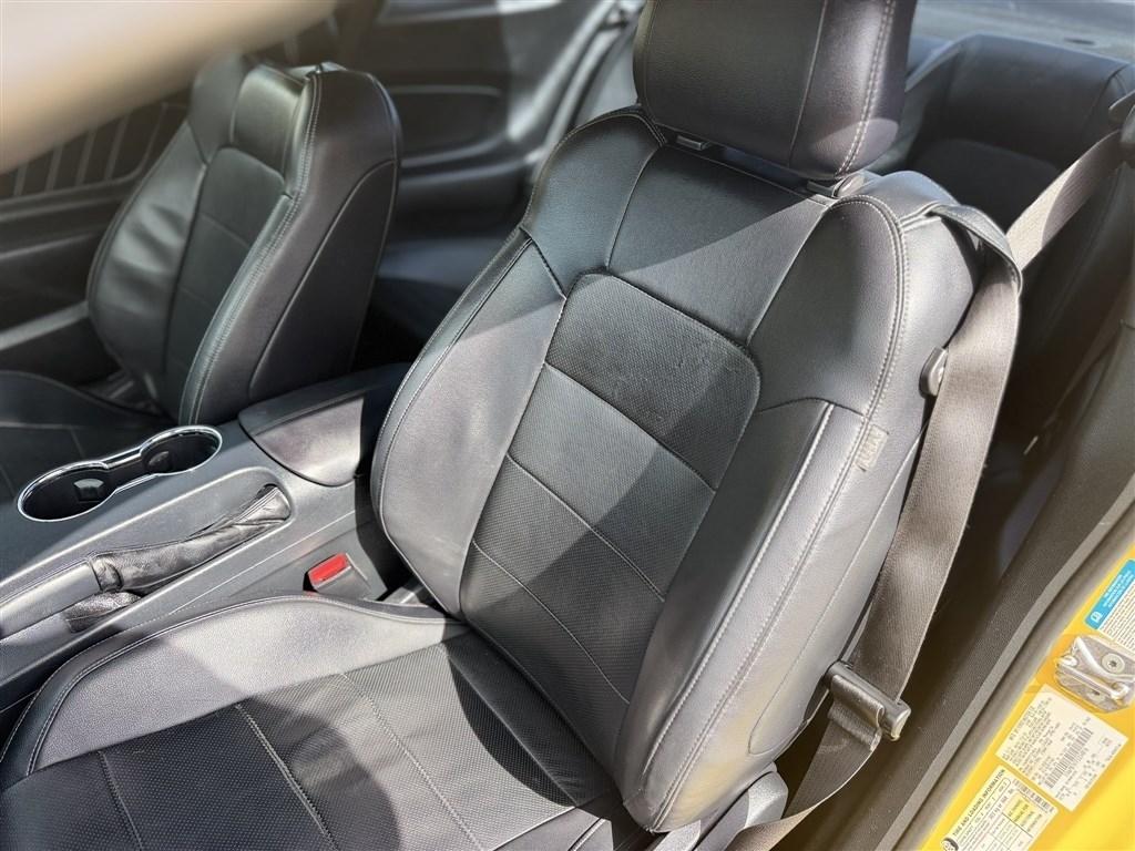 Ford Mustang EcoBoost Premium Coupe 2015