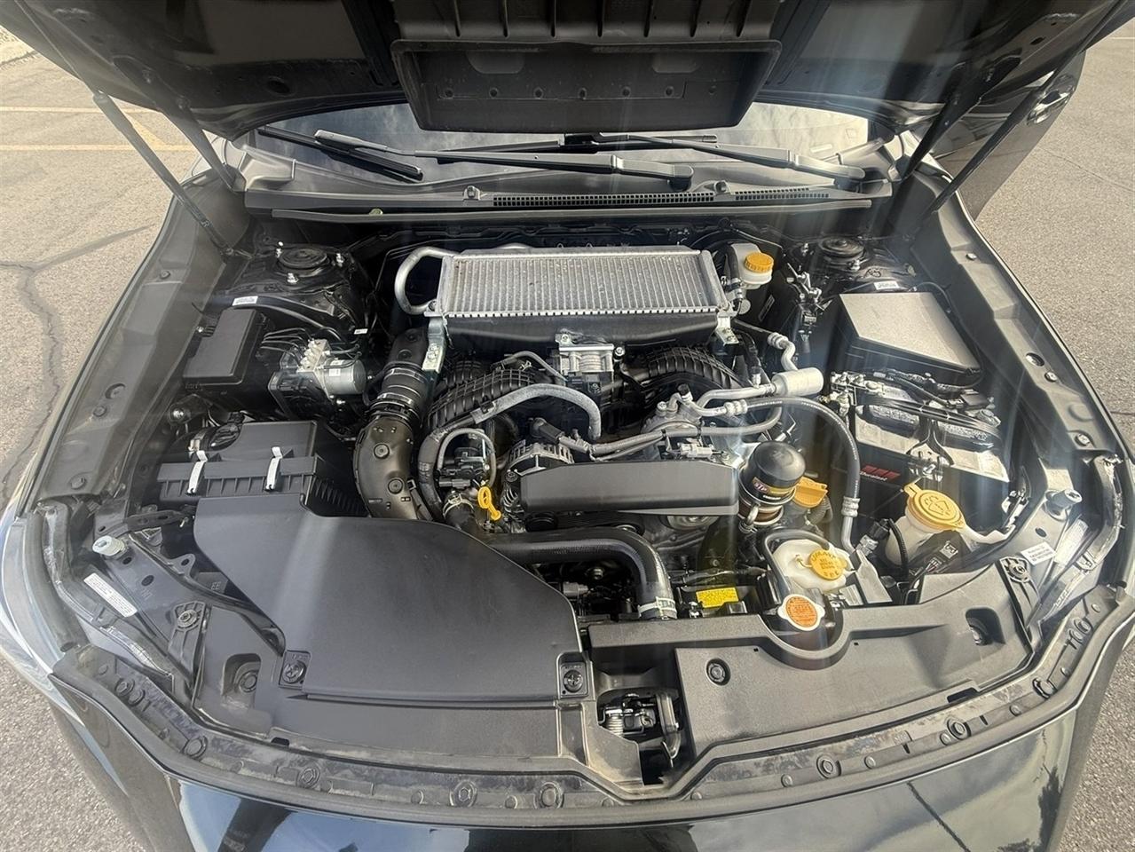Subaru WRX Manual 2023