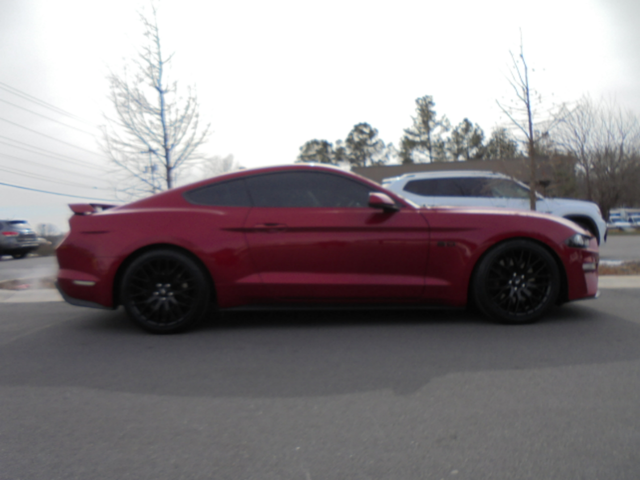 Ford Mustang GT Fastback 2021