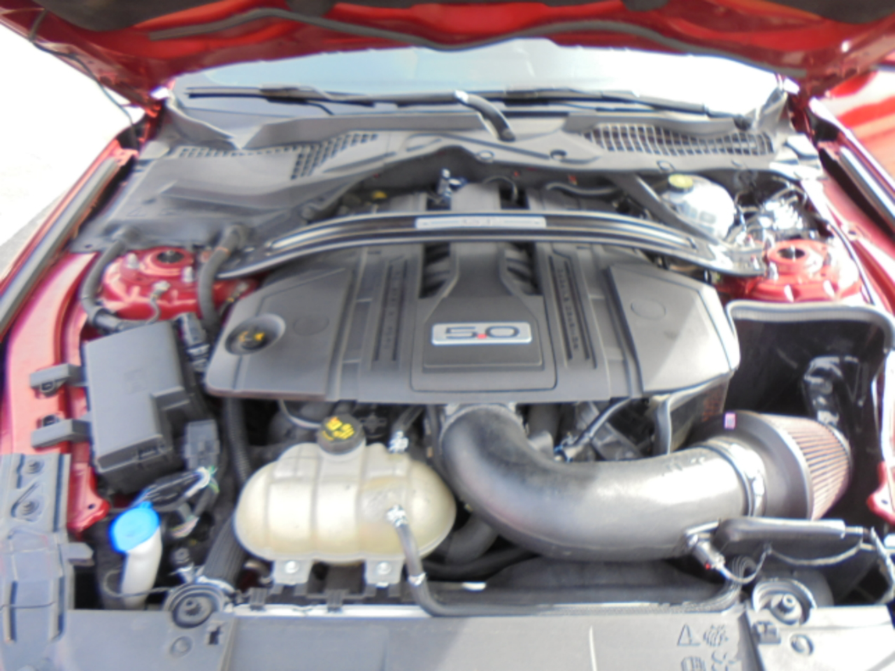 Ford Mustang GT Fastback 2021