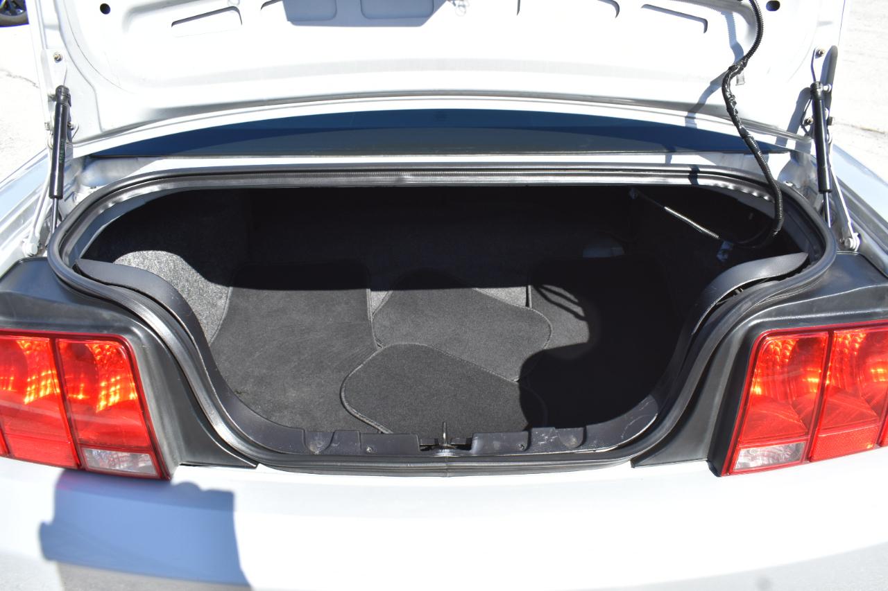 Ford Mustang GT Deluxe Coupe 2006