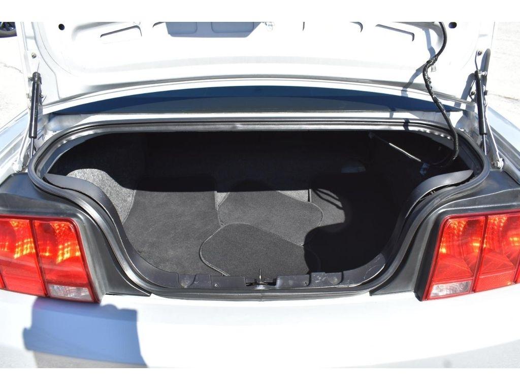 Ford Mustang GT Deluxe Coupe 2006